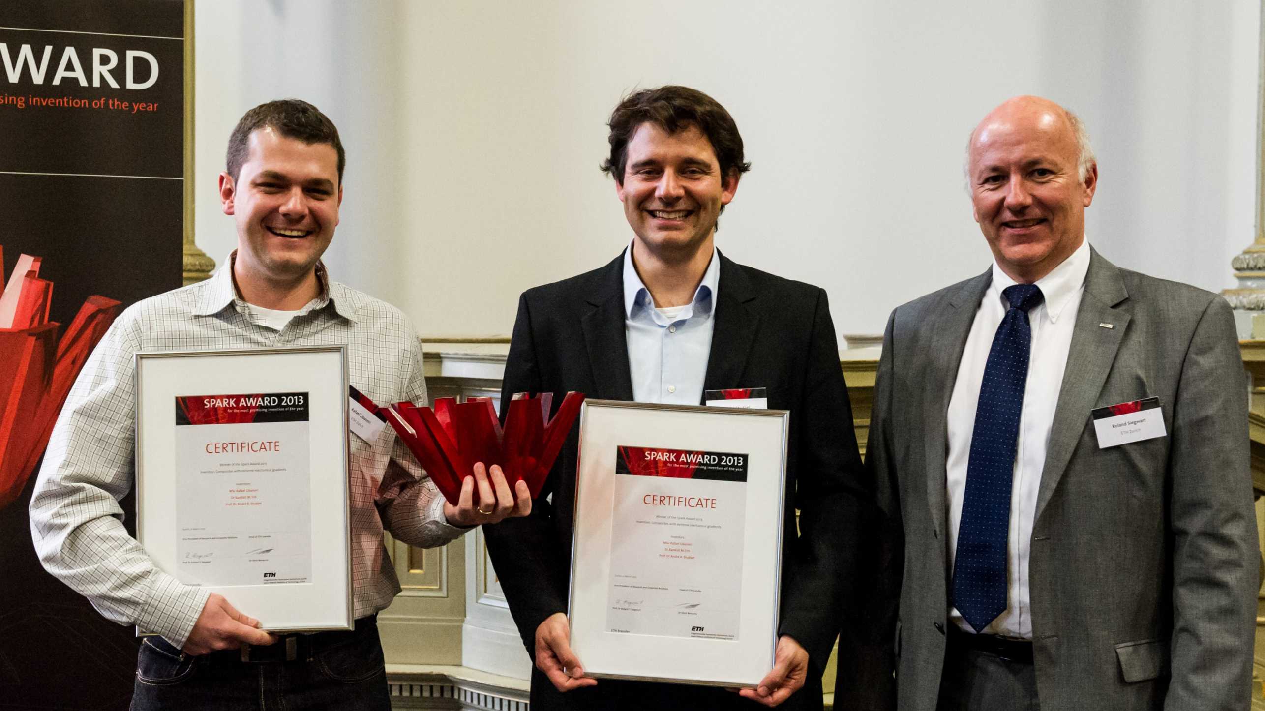 Spark Award winner 2013